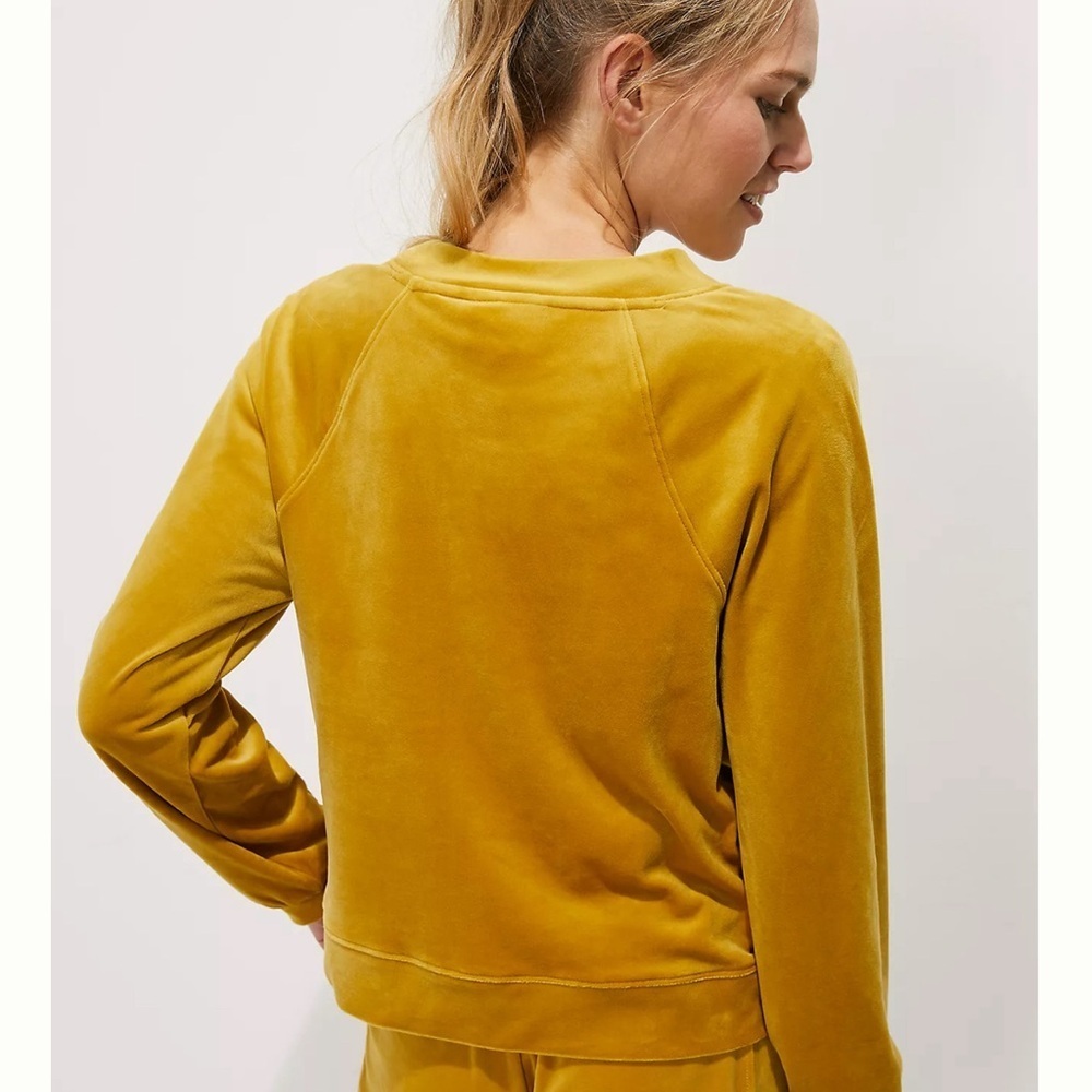 Anthropologie Saturday Sunday Mustard Yellow Velour Velvet Sweater Size Small - Picture 3 of 12